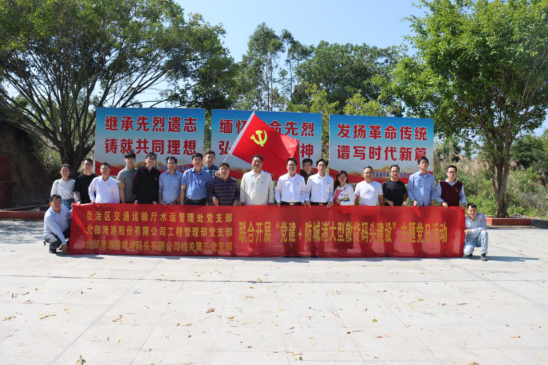 党建品牌强引领，党建联盟聚合力 ——促进特色党建与西部陆海新通道建设深