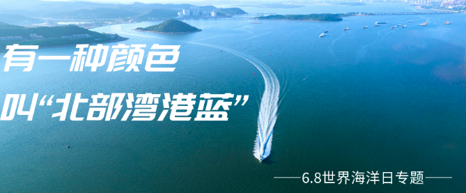 6.8世界海洋日 | 带你领略“乐虎lehu蓝”